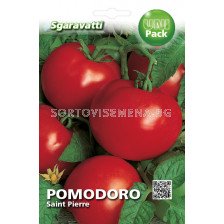 Семена домати Свети Пиер`SG - tomato Saint Pierre`SG 