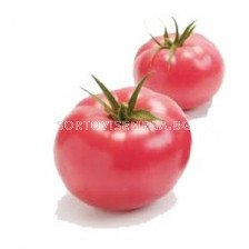 Семена домати Пинк сън (Pink sun) TY-1103 