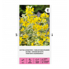 СК СЕМЕНА ЖЪЛТО ОГЪНЧЕ DOTTED LOOSESTRIFE  