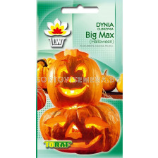 ТИКВА БИГ МАКС - Dynia Big Max - 4 г