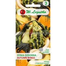 ЛГ ТИКВИЧКИ ЕСЕННИ КРИЛА  Cucurbita pepo Autumn Wings mixture  