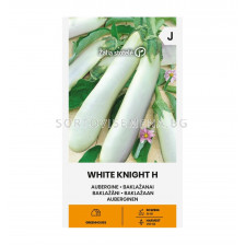 СК СЕМЕНА ПАТЛАДЖАН БЯЛ РИЦАР / EGGPLANT, WHITE KNIGHT H SK