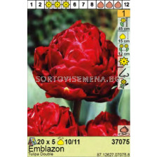 Лале Emblazon - Пакет: 1 оп. - 5 бр.