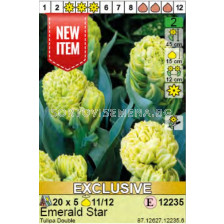 Лале/ Tulipa Emerald Star. Пакет: 1 оп.- 5 бр.