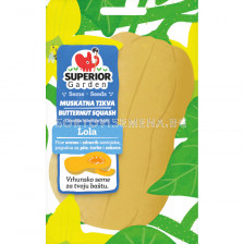 Семена мускатна тиква ЛОЛИТА / LOLITTA