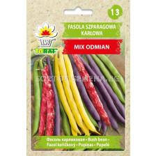 ТОРАФ СЕМЕНА ФАСУЛ АСПЕРЖОВ МИКС Fasola szparagowa karl. MIX odmian  