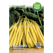 Семена фасул Bergold`SG 