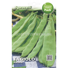 Фасул  (Beans) Baroma SG (тип Лоди)