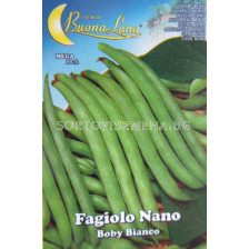 Семена фасул Италиански (зелен, кръгъл, нисък) - Beans Italian (green, round, low)