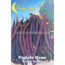 Семена фасул Пурпурна шушулка - нисък - beans Purple pod - short