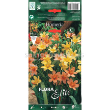 Хомерия  микс - Homeria (1 оп. - 10 бр)