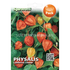 Семена Физалис (семена) SG - Physalis (seeds) SG