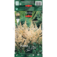 Астилбе бяло - Astilbe arendsii white - 1 оп