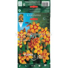 Крокосмия Емили - Crocosmia crocosmiiflora Emily Mckenzie - 1 оп