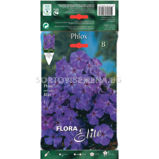 Флокс син - Phlox paniculata blue