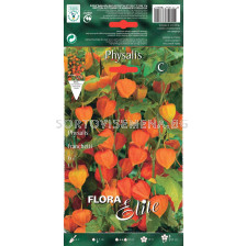 Физалис - Physalis franchetti 