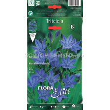 Трителея - Triteleia Koningin Fabiola - 25 бр