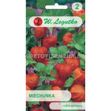 СЕМЕНА ФИЗАЛИС Physalis alkekengi var. franchetii orange - ЛГ