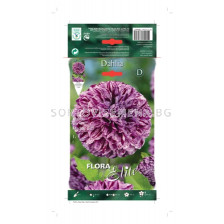 далия Marchie Bart