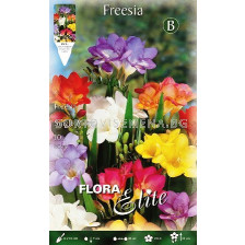 Фрезии (Freesia) микс 10 бр.