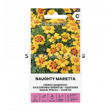 СК ТАГЕТЕС МАРИЕТА FRENCH MARIGOLD NAUGHTYMARIETTA