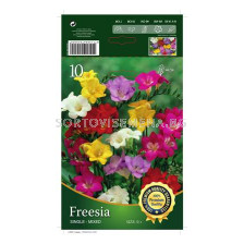 Фрезии Микс- 10 бр - Freesia Mix - 10 pieces 