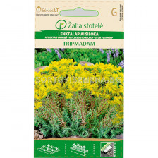 Семена Седум / REFLEXED STONECROP TRIPMADAM / 'SK -1 оп