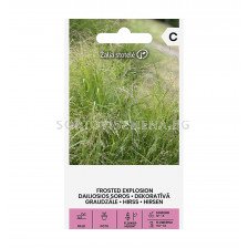 СЕМЕНА ПАНИКУМ (ВЛАКНОВИДНО ПРОСО)  FROSTED EXPLOSION -  СК