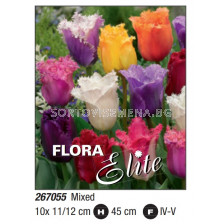 Лалета микс/ Tulipa fringed mixed - Пакет: 1 оп. - 10 бр.