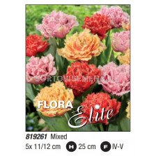 Лале/ Tulipa fringed double Mixed - Пакет: 1 оп. -  5 бр.