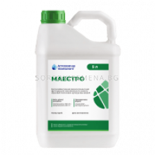 Маестро ВГ