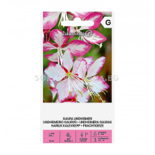СК  СЕМЕНА ГАУРА GAURA LINDHEIMERI rose white