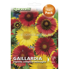 Семена Гайлардия `SG - Gaillardia `SG
