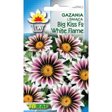 Семена Газания - блестяща Голяма целувка