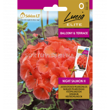 СК СЕМЕНА МУШКАТО НАЙТ САЛМЪН Х GERANIUM NIGHT SALMON H  