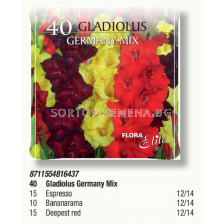 Гладиоли Germany Mix в pizza box - 1 кутия - 40 бр. луковици