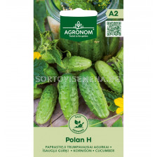 СК СЕМЕНА КОРНИШОНИ POLAN H SK