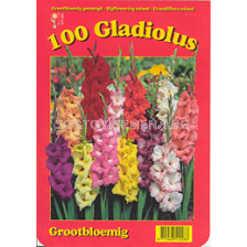 Гладиоли (Gladiolus) - Mix 100 