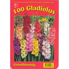 Гладиоли (Gladiolus) - Mix 100 