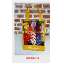Гладиоли микс 14+ - Gladioli mix 14+