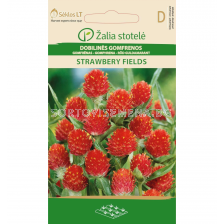 Топчеста гомфрена STRAWBERY FIELDS - GOMPHRENA - 'SK - 1 г