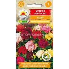 Градински карамфил Шабо микс - Dianthus caryophyllus- 0,5 g - sortovisemena.bg Градински карамфил Шабо микс - Dianthus caryophyllus- 0,5 g