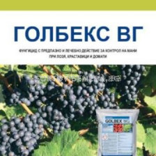 Голбекс ВГ