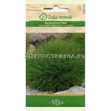 Семена Фестука зелена / FESCUE GREEN / 'SK -1 оп