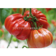 Семена домат Грифон/ Griffone F1 - 250 бр.семена