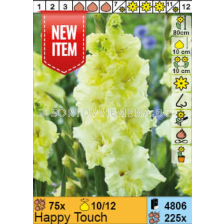 Гладиол Happy Touch/ Gladiolus - 1 брой