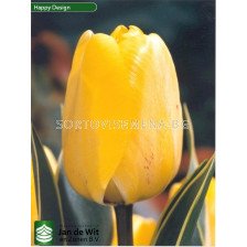 Лале Happy Design 1 бр 