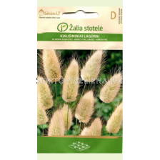 Семена Овален лагурус / GRASS HARE'S TAIL / 'SK -1 оп