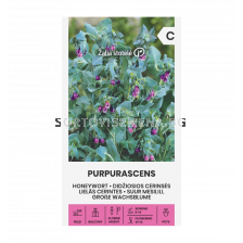СК МЕДЕНО ЦВЕТЕ  HONEYWORT PURPURASCENS 