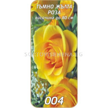Храстовидна роза 004
